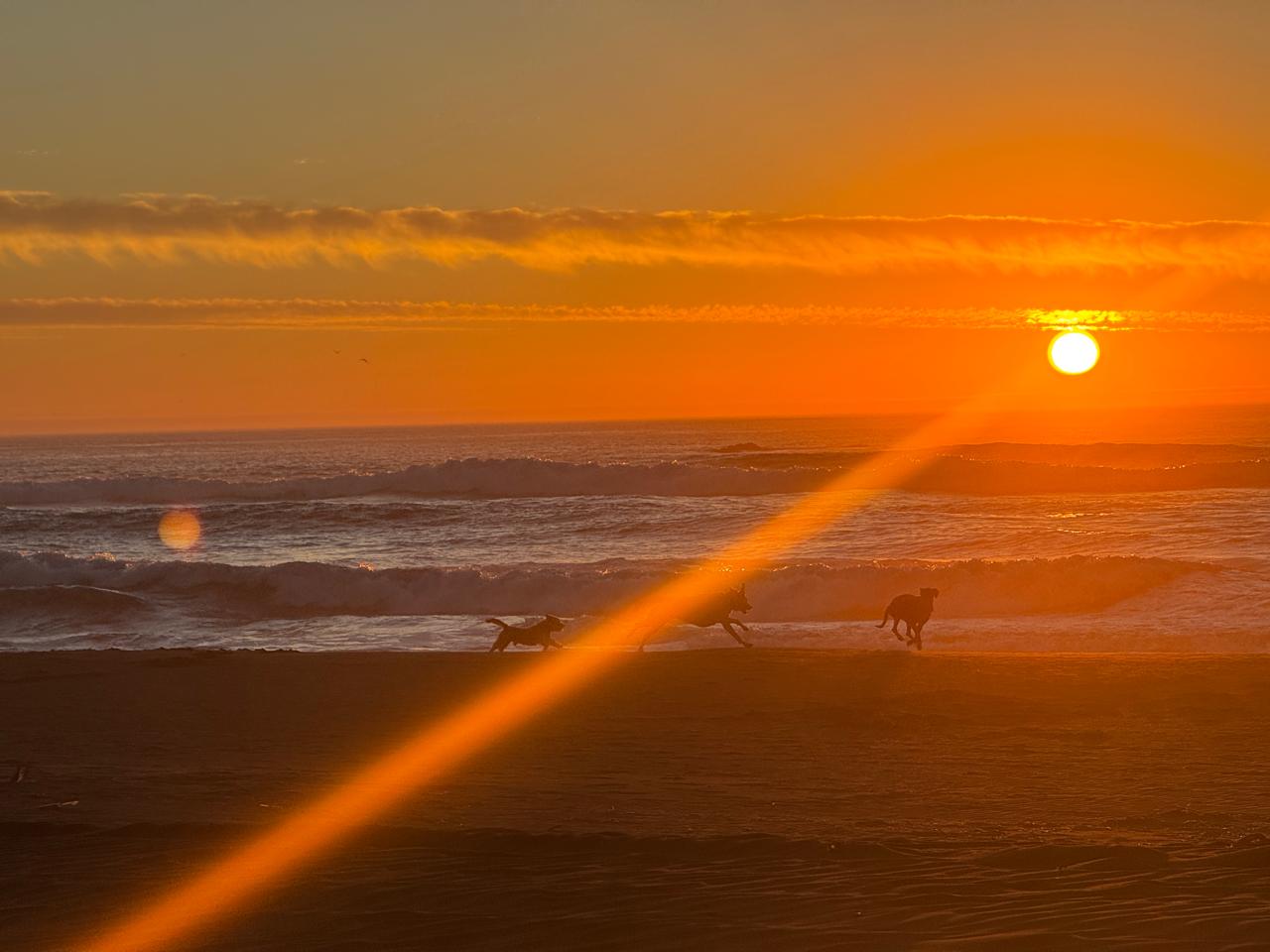 Atardecer naranja sobre la playa